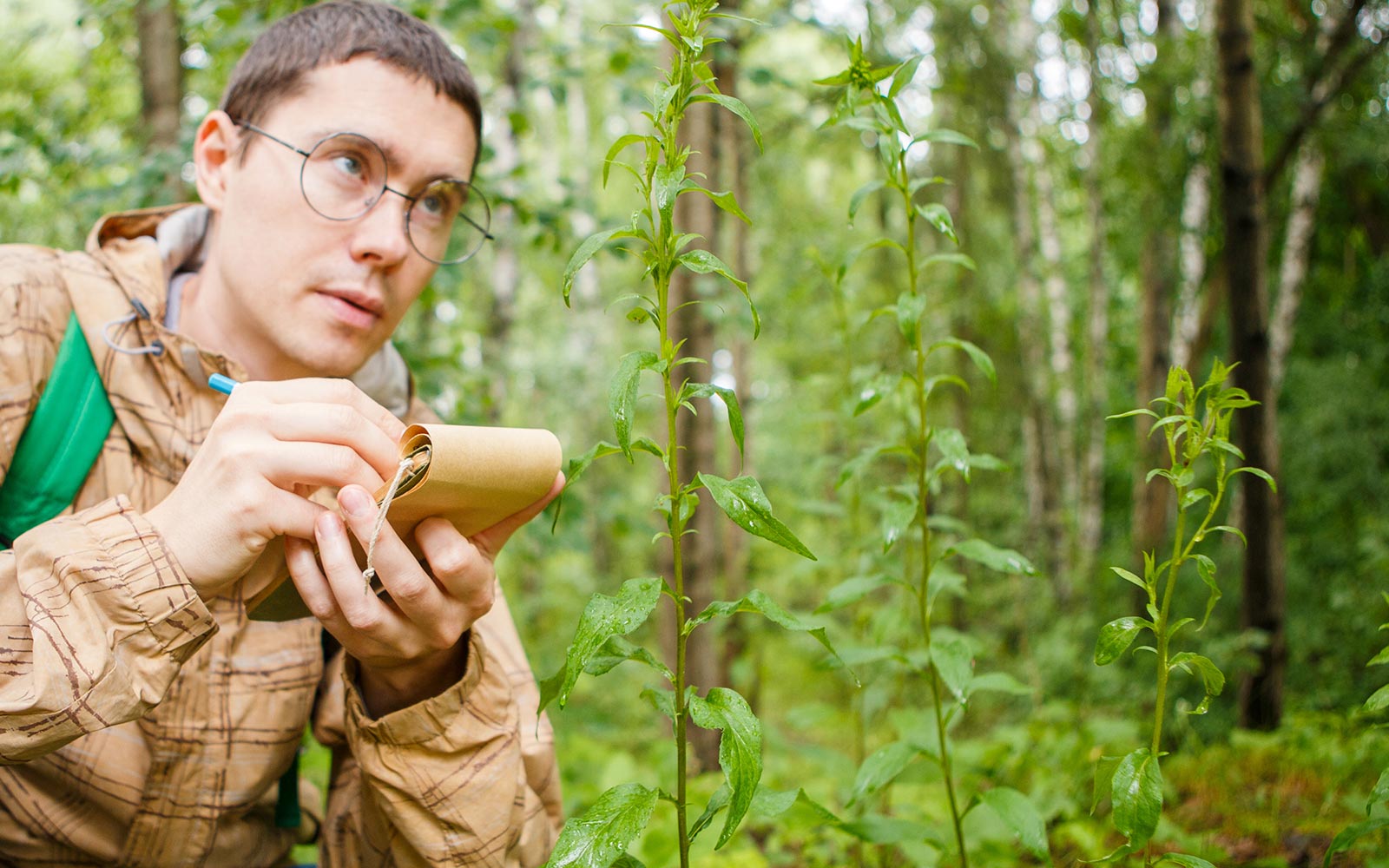 Scientist taking notes in the woods