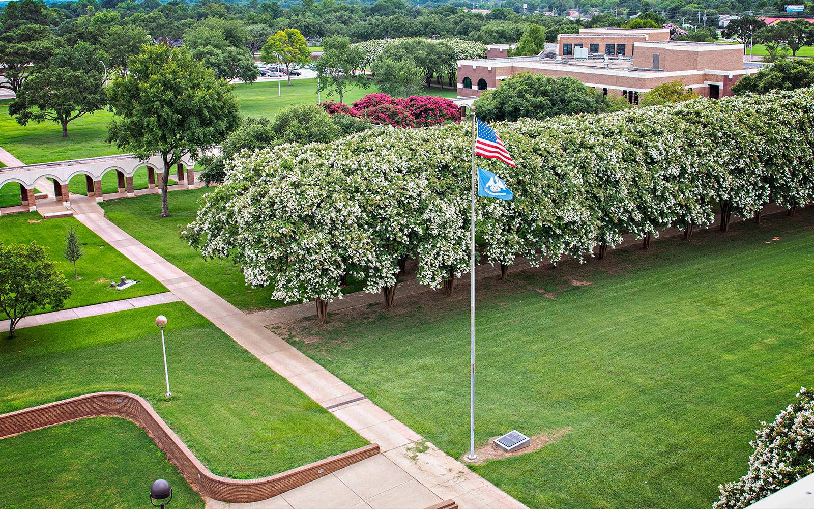 aerial photo of LSU campus