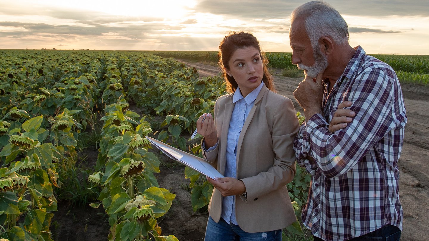 Two people in a field