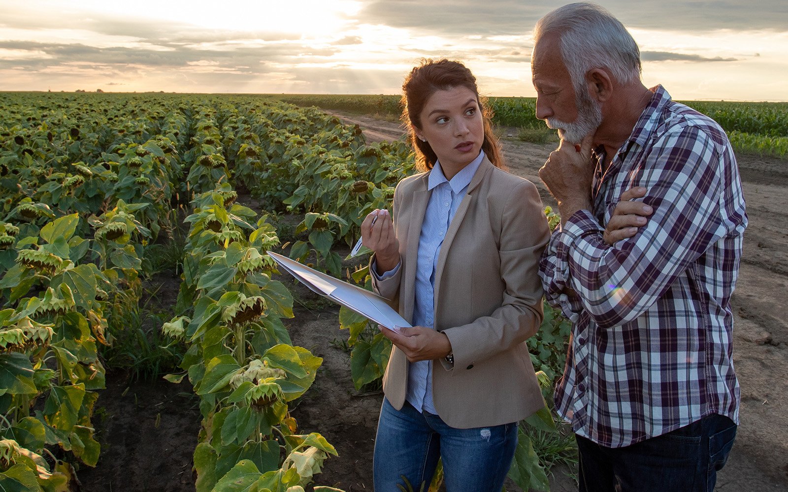 Two people in a field