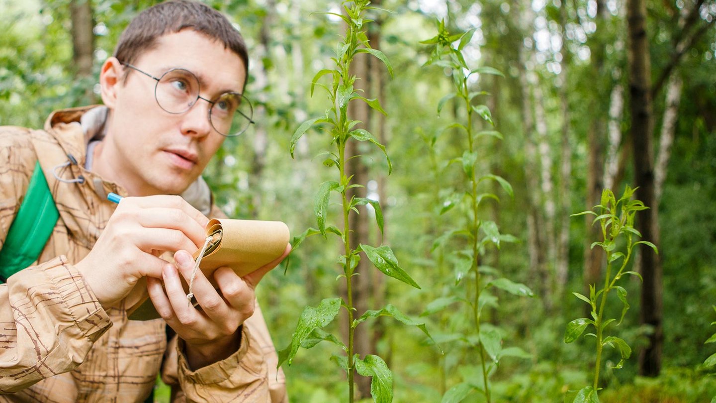 Scientist taking notes in the woods