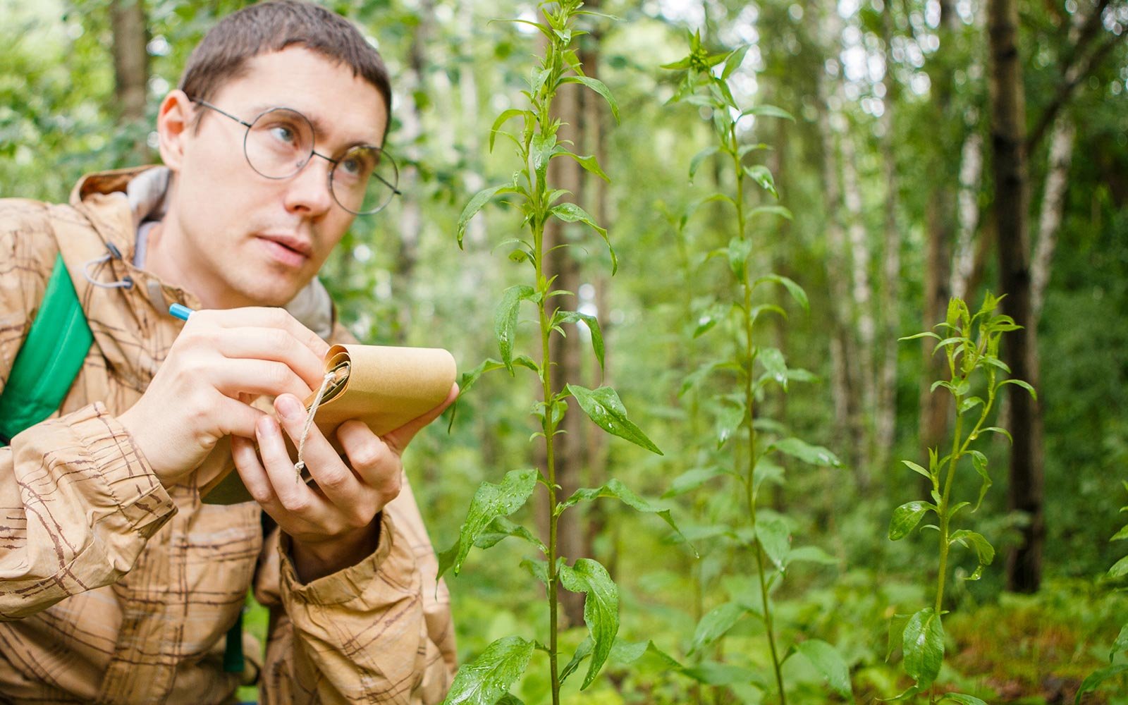 Scientist taking notes in the woods