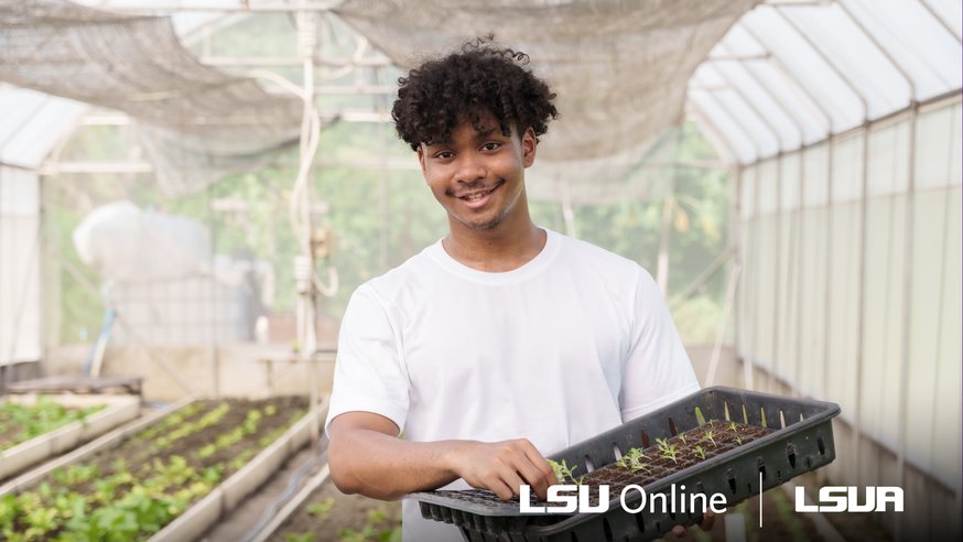Agricultural manager checking plants.