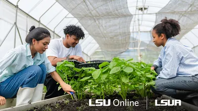 3 individuals performing agriculture work