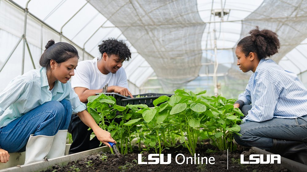 3 individuals performing agriculture work