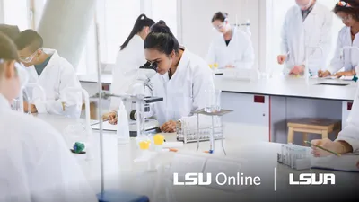 Chemistry students working in a lab