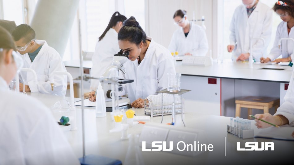 Chemistry students working in a lab