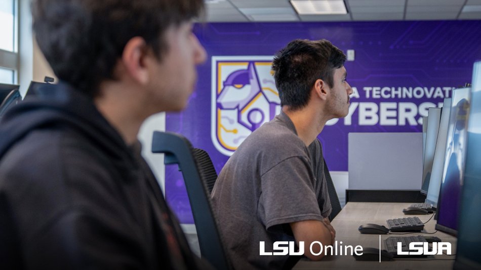 Two men looking at computer screens LSU Online