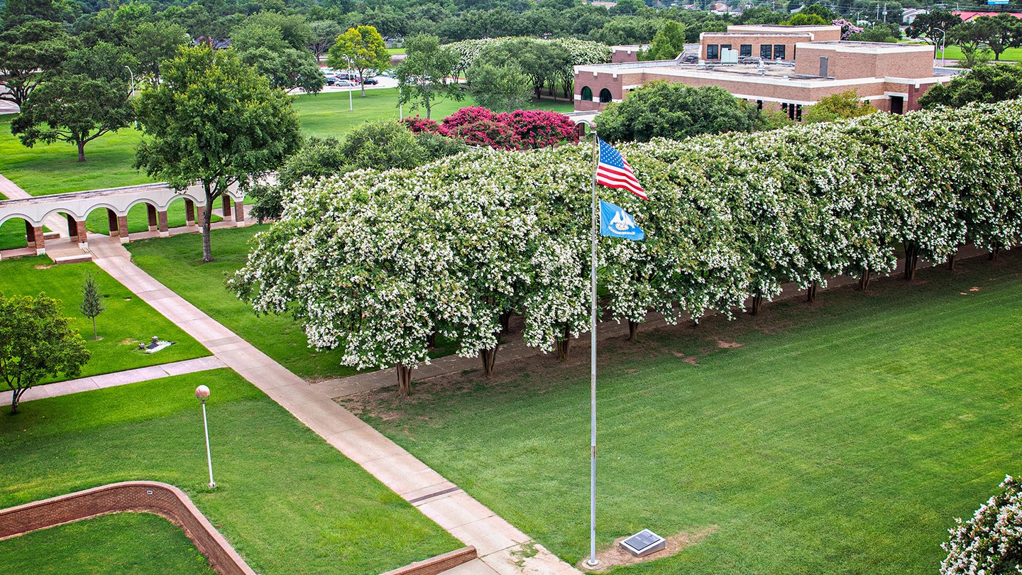 aerial photo of LSU campus