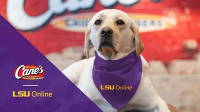 Raising Cane's logo and LSU Online logo