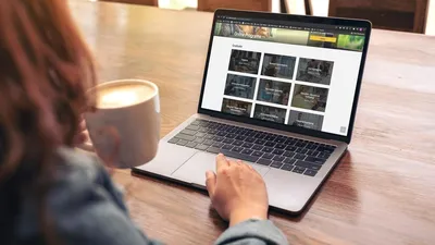 Woman browsing LSU Online programs