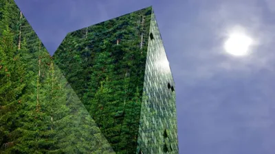 The image of a spruce forest is reflected in the glass walls of a modern office building.