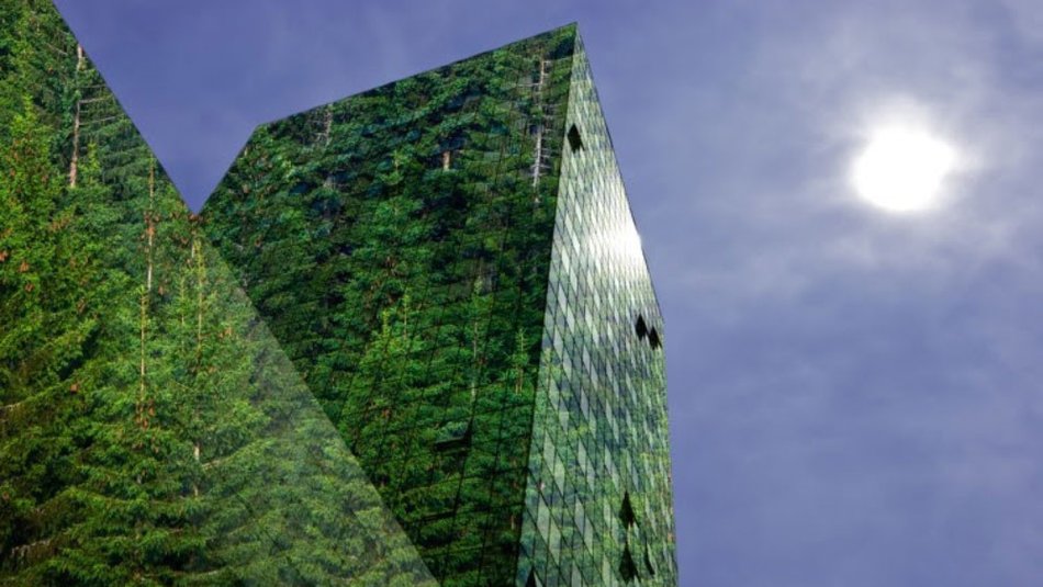 The image of a spruce forest is reflected in the glass walls of a modern office building.