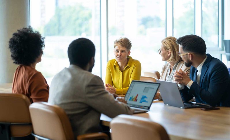 Professionals in a meeting